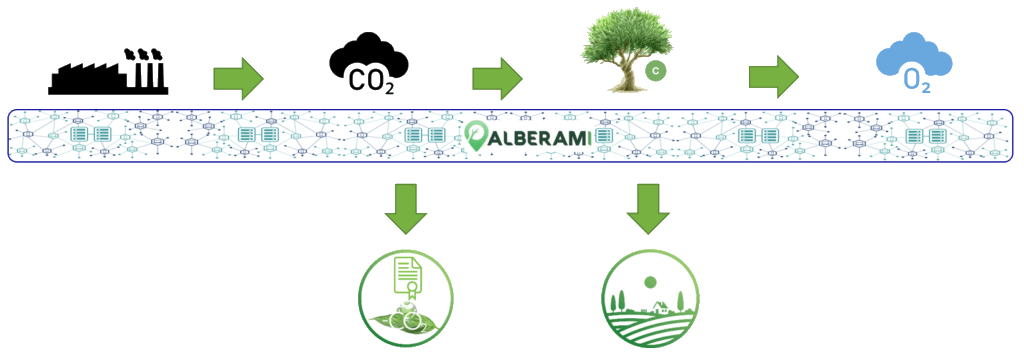 Alberami Workflow