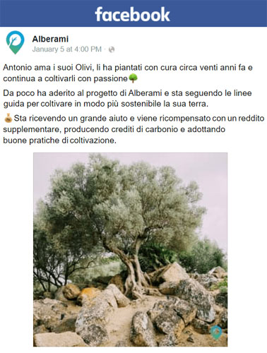 Alberami su Facebook