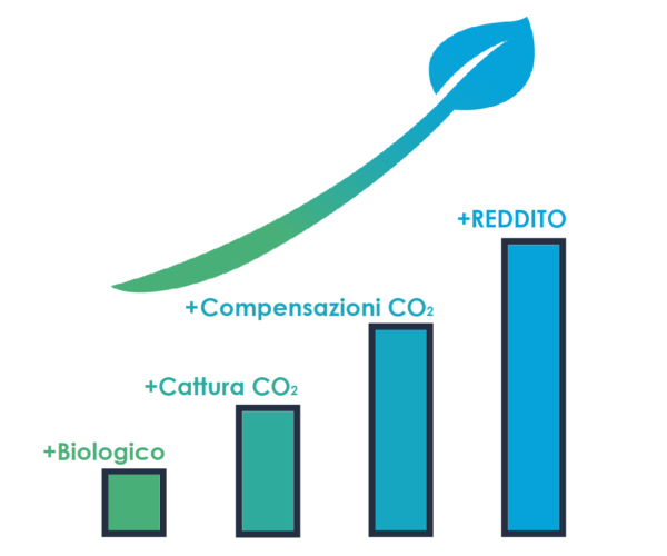+Biologico, +Cattura CO2, +Compensazione CO2, +Profitto