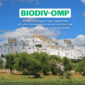 Città di Ostuni fa da sfondo a distesa di ulivi