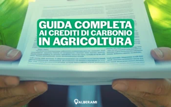 Crediti di Carbonio in Agricoltura Guida Completa al Funzionamento e alle Opportunità (2)